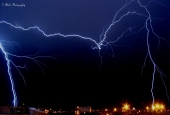 IIP Online Student Photography